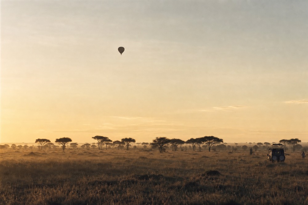 A single balloon high against a pale washed morning sky seen from the ground, small and dark, heat shimmer rising off the grass below