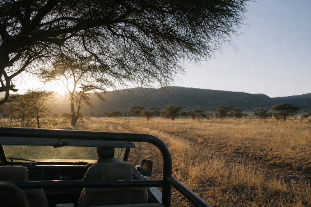 An open safari vehicle waiting on a dusty track at sunrise, long shadows across golden grass, acacia trees scattered toward a low ridge