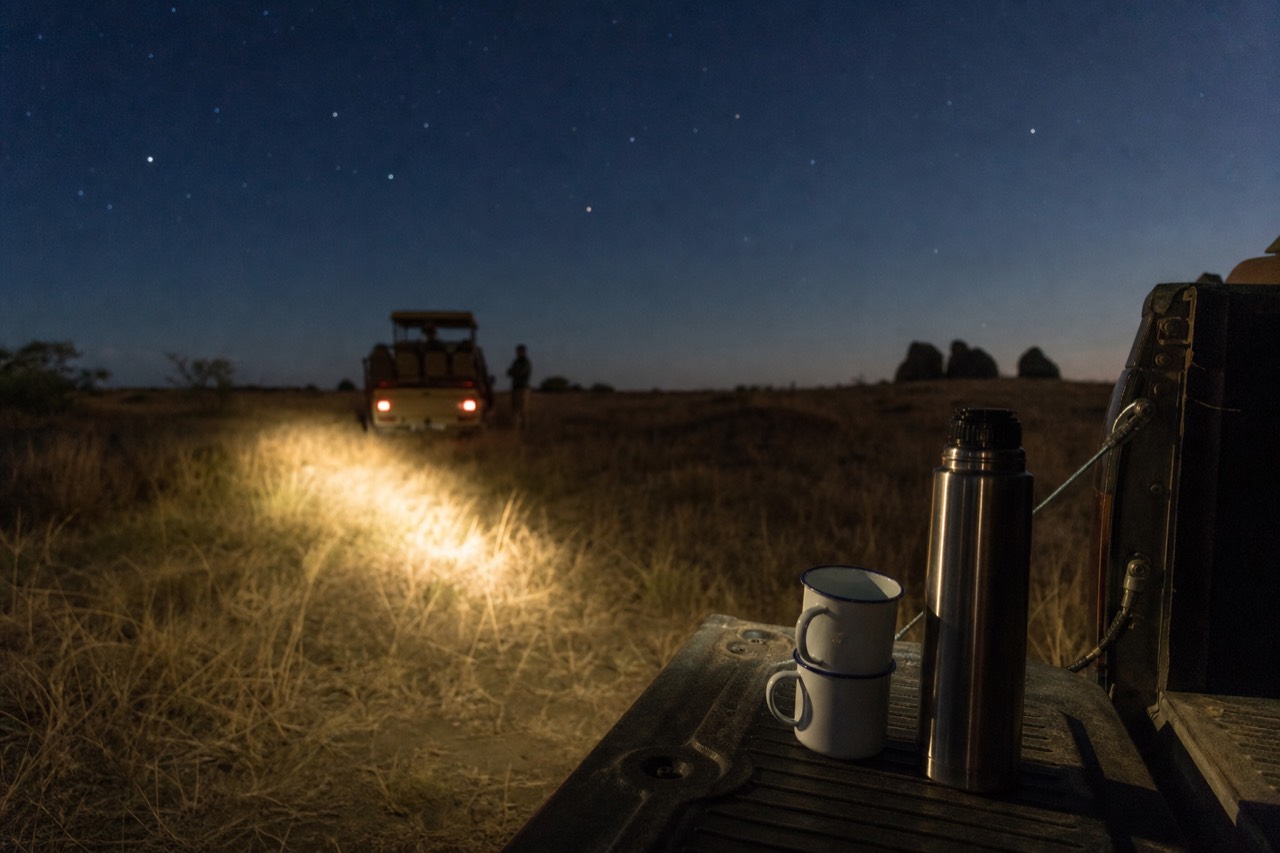 A steel thermos and stacked enamel mugs on the open tailgate of a safari vehicle in darkness, a torch beam across the grass, stars still out overhead