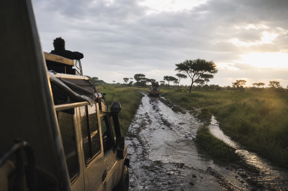A rutted safari track filled with standing rainwater cutting through tall wet green grass, tyre ruts deep in grey mud under heavy cloud