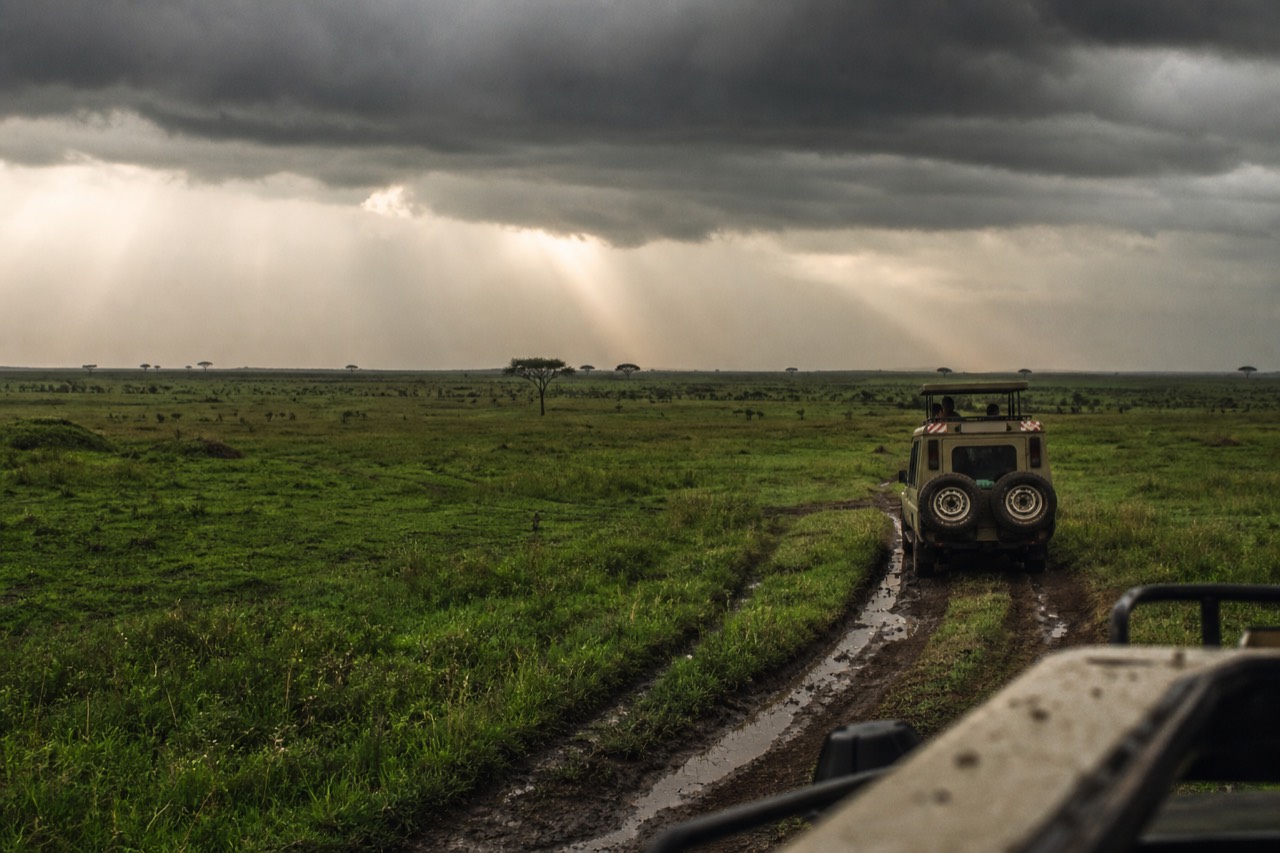 Storm clouds stacking over emerald Serengeti grassland, shafts of light breaking through onto wet plains, a dark horizon and scattered flat-topped trees