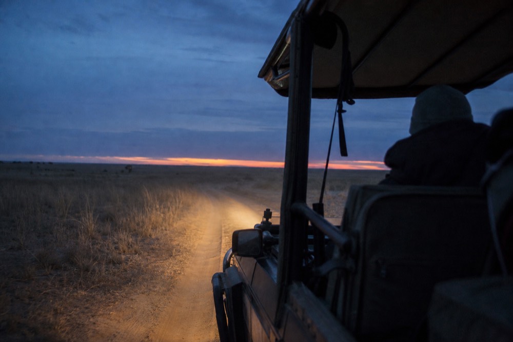Safari vehicle on a dirt track before sunrise with headlights on, dust hanging in the beams, flat grassland stretching away on both sides