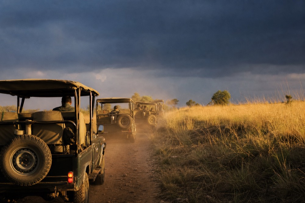 A short line of open safari vehicles parked on a dusty track beside a grassy bank in low golden light, dust hanging in the air behind them
