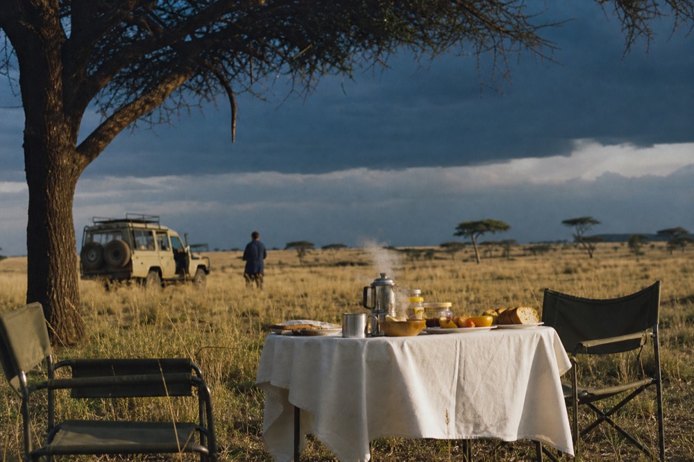 A cooked bush breakfast on a white-clothed folding table under a flat-topped acacia, steaming coffee pot and empty camp chairs, open plains stretching behind in early sun