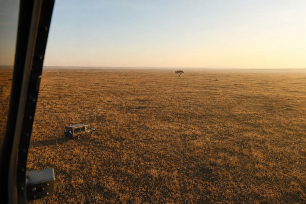 Wide empty plain photographed from altitude at sunrise, pale dry grass running to a hazy horizon with a single distant tree and no animals in sight