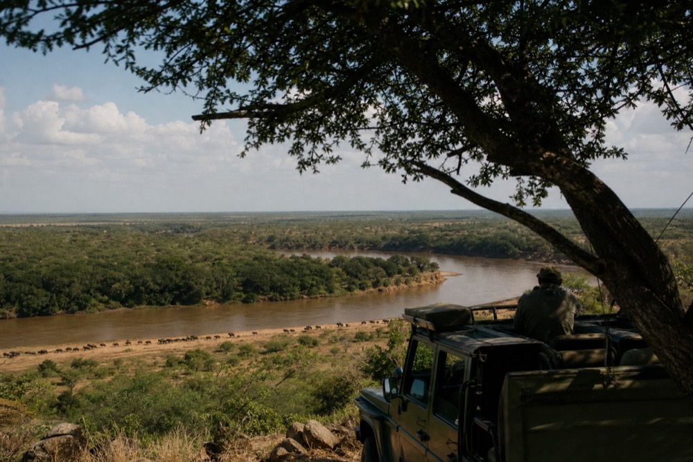 Aerial view of a wide floodplain with a slow brown river bending through dark riverine forest, buffalo herds strung along the far bank