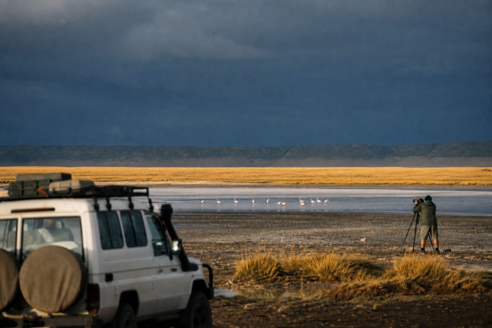 Alkaline lakeshore on the southern short-grass plains at dawn, pale flamingos standing in shallow water, a flat horizon running to a distant crater rim