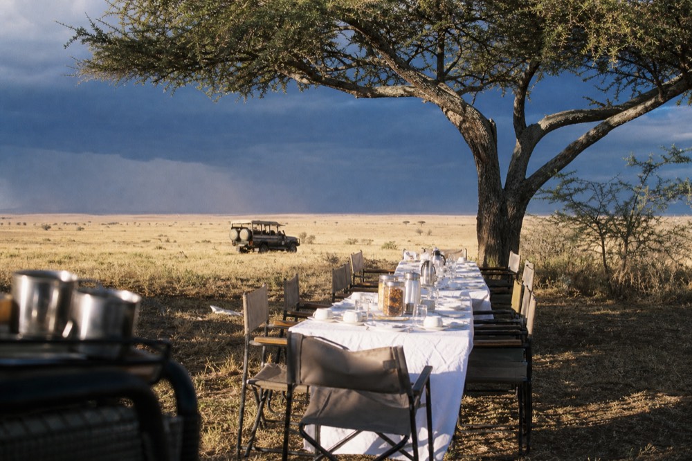 Long breakfast table under a wide flat-topped acacia in strong morning sun, white cloth and folding chairs, hard shadows cutting across pale grass