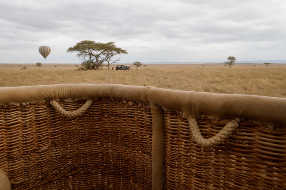 Wicker basket wall seen from outside at adult chest height, padded rim and rope handles above dry grass in flat early light